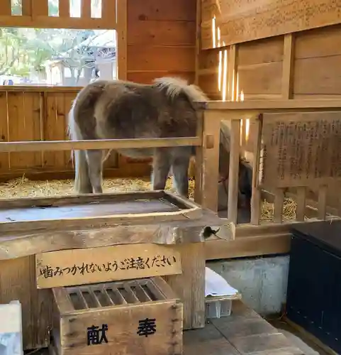 平塚八幡宮(神奈川県)