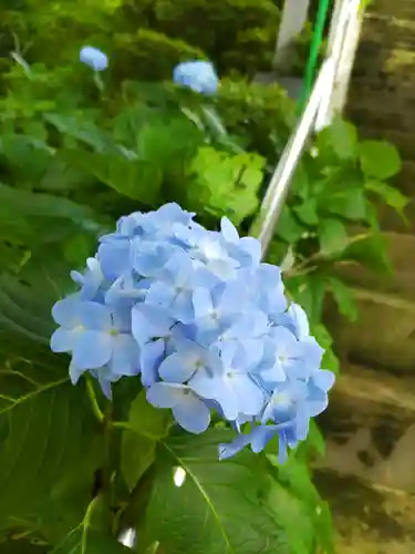 弥生神社の自然