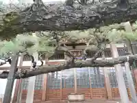 妙典寺の{uncategorized: "未分類", other: "その他", undefined: "問題あり", building: "その他建物", grave: "お墓", sacred_gate: "鳥居", guardian: "狛犬", statue: "像", buddha: "仏像", history: "歴史", nature: "自然", garden: "庭園", animal: "動物", pagoda: "塔", temizu: "手水舎", mountain_gate: "山門・神門", sanctuary: "本殿・本堂", subordinate: "末社・摂社", art: "芸術", scenery: "景色", jizo: "地蔵", ema: "絵馬", goshuin: "御朱印", omikuji: "おみくじ", items: "授与品その他", amulet: "お守り", goshuincho: "御朱印帳", eats: "食事", festival: "お祭り", votive_dance: "神楽", shichigosan: "七五三参", wedding: "結婚式", experience: "体験その他", initially: "初詣", around: "周辺", anti_infection: "感染症対策"}