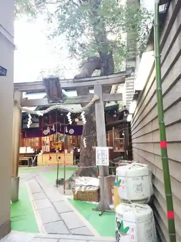 少彦名神社の鳥居