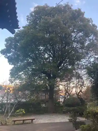 円光寺(神奈川県)