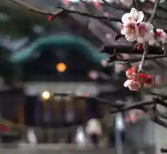 瀧宮天満宮の自然