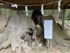 鴨鳥五所神社(茨城県)