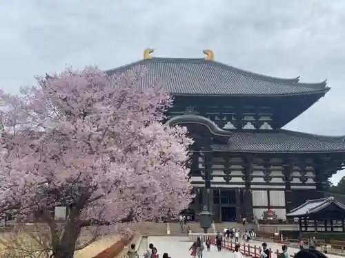 興福寺 南円堂の本殿