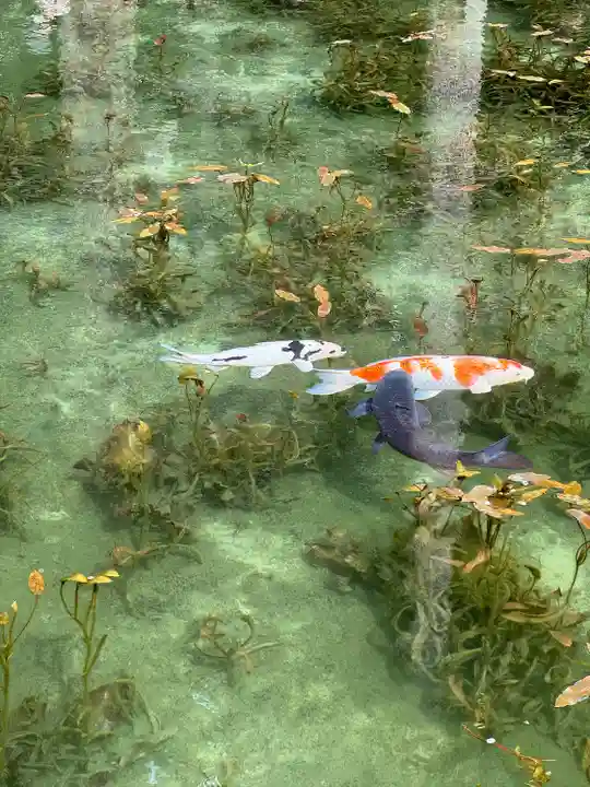 根道神社(岐阜県)