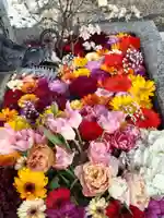 札幌諏訪神社の手水舎