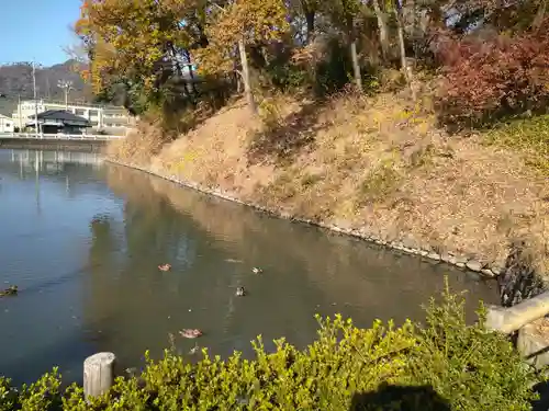 武田神社の景色