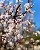 伊達神社(北海道)