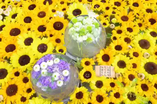 住吉神社(北海道)