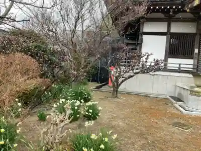来迎寺（西御門）の{uncategorized: "未分類", other: "その他", undefined: "問題あり", building: "その他建物", grave: "お墓", sacred_gate: "鳥居", guardian: "狛犬", statue: "像", buddha: "仏像", history: "歴史", nature: "自然", garden: "庭園", animal: "動物", pagoda: "塔", temizu: "手水舎", mountain_gate: "山門・神門", sanctuary: "本殿・本堂", subordinate: "末社・摂社", art: "芸術", scenery: "景色", jizo: "地蔵", ema: "絵馬", goshuin: "御朱印", omikuji: "おみくじ", items: "授与品その他", amulet: "お守り", goshuincho: "御朱印帳", eats: "食事", festival: "お祭り", votive_dance: "神楽", shichigosan: "七五三参", wedding: "結婚式", experience: "体験その他", initially: "初詣", around: "周辺", anti_infection: "感染症対策"}