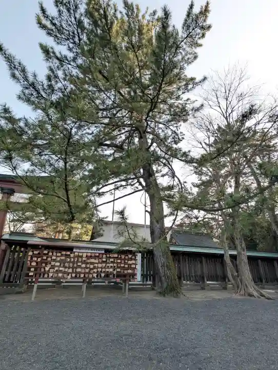 氣比神宮の{uncategorized: "未分類", other: "その他", undefined: "問題あり", building: "その他建物", grave: "お墓", sacred_gate: "鳥居", guardian: "狛犬", statue: "像", buddha: "仏像", history: "歴史", nature: "自然", garden: "庭園", animal: "動物", pagoda: "塔", temizu: "手水舎", mountain_gate: "山門・神門", sanctuary: "本殿・本堂", subordinate: "末社・摂社", art: "芸術", scenery: "景色", jizo: "地蔵", ema: "絵馬", goshuin: "御朱印", omikuji: "おみくじ", items: "授与品その他", amulet: "お守り", goshuincho: "御朱印帳", eats: "食事", festival: "お祭り", votive_dance: "神楽", shichigosan: "七五三参", wedding: "結婚式", experience: "体験その他", initially: "初詣", around: "周辺", anti_infection: "感染症対策"}