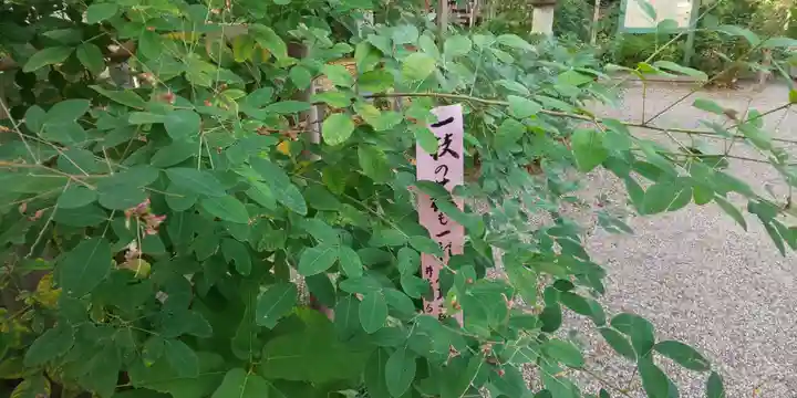 梨木神社の自然