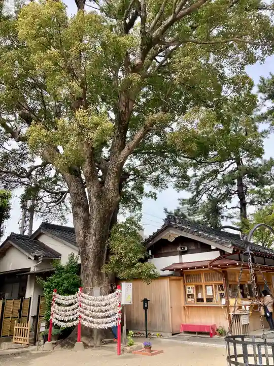 菅生神社のその他建物