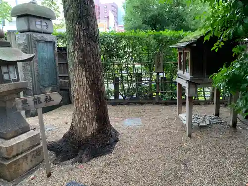 堀越神社(大阪府)