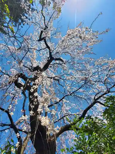 開成山大神宮(福島県)