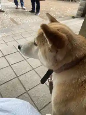 笠䅣稲荷神社(神奈川県)