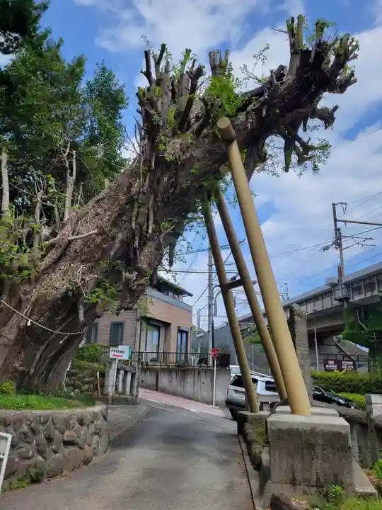 五所神社(神奈川県)