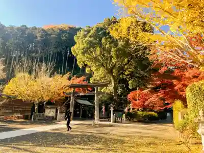 高麗神社の{uncategorized: "未分類", other: "その他", undefined: "問題あり", building: "その他建物", grave: "お墓", sacred_gate: "鳥居", guardian: "狛犬", statue: "像", buddha: "仏像", history: "歴史", nature: "自然", garden: "庭園", animal: "動物", pagoda: "塔", temizu: "手水舎", mountain_gate: "山門・神門", sanctuary: "本殿・本堂", subordinate: "末社・摂社", art: "芸術", scenery: "景色", jizo: "地蔵", ema: "絵馬", goshuin: "御朱印", omikuji: "おみくじ", items: "授与品その他", amulet: "お守り", goshuincho: "御朱印帳", eats: "食事", festival: "お祭り", votive_dance: "神楽", shichigosan: "七五三参", wedding: "結婚式", experience: "体験その他", initially: "初詣", around: "周辺", anti_infection: "感染症対策"}