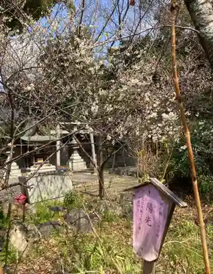 平野神社(京都府)