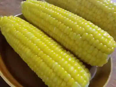 伏木香取神社の授与品その他