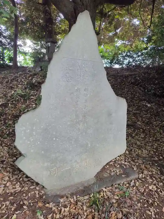 氷川神社(埼玉県)