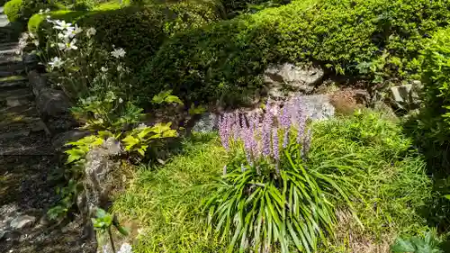 善峯寺(京都府)