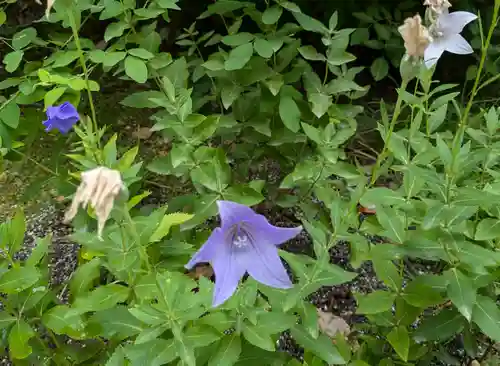 平安神宮(京都府)