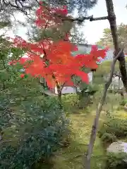 仁和寺の庭園