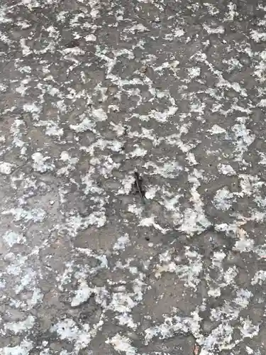 品川神社の動物