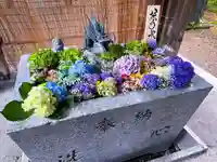 札幌諏訪神社の手水舎