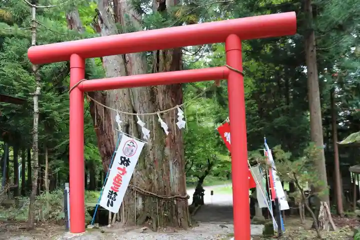 磐椅神社の鳥居
