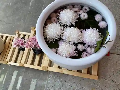 徳島眉山天神社(徳島県)