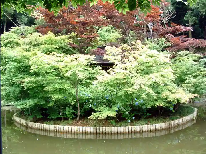 本土寺(千葉県)