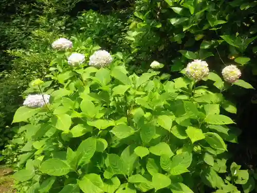 御霊神社の自然