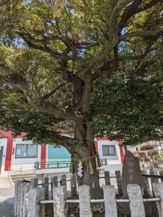 多摩川諏訪神社(東京都)