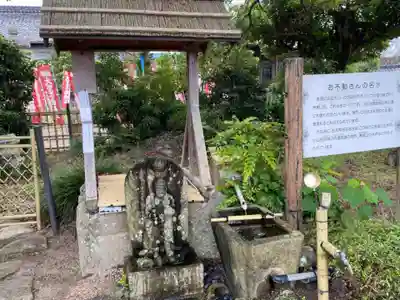 金蓮寺の手水舎