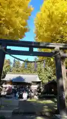 大神神社(栃木県)