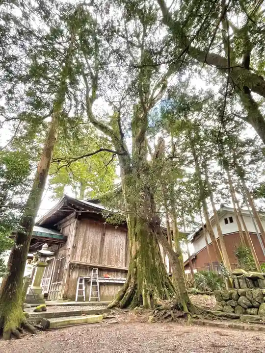 三上六所神社(滋賀県)