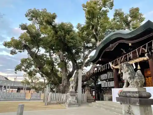 石切劔箭神社の本殿