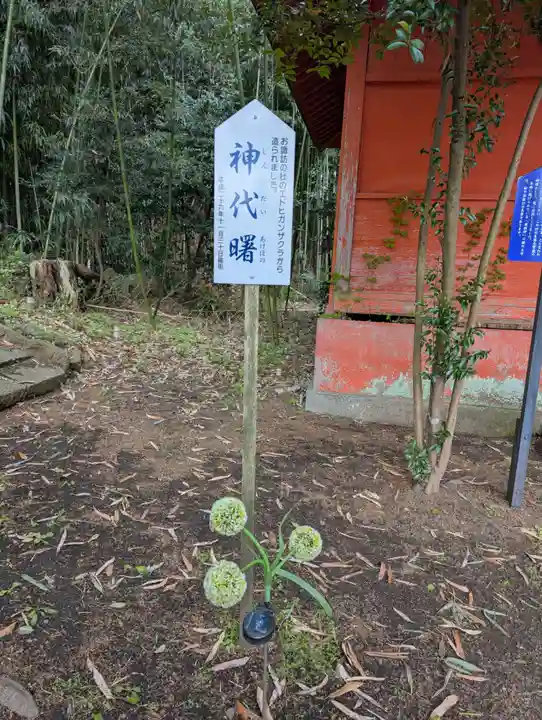 神炊館神社 ⁂奥州須賀川総鎮守⁂(福島県)