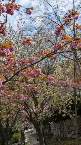 圓光寺(京都府)