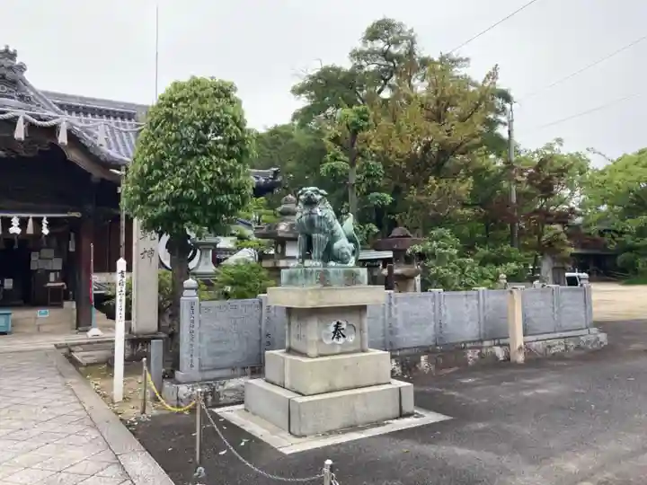 川之江八幡神社の狛犬