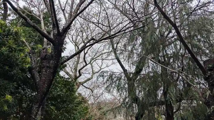 極楽寺(霊鷲山感應院極楽律寺)の自然
