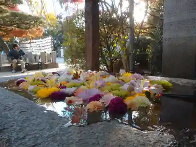 紅葉八幡宮の手水舎