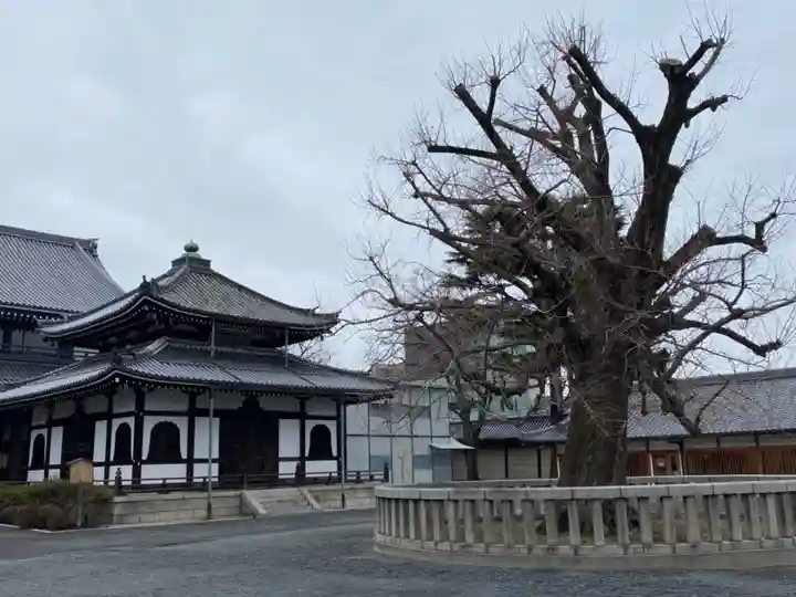 本願寺(西本願寺)のその他建物
