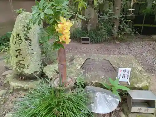 浄瑠璃寺(愛媛県)