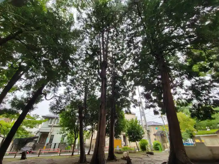 本太氷川神社のその他建物