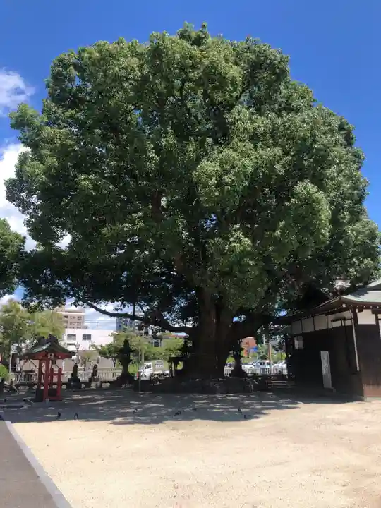 佐嘉神社・松原神社(佐賀県)