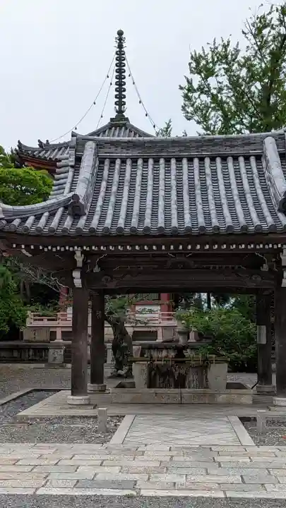 知恩院の手水舎