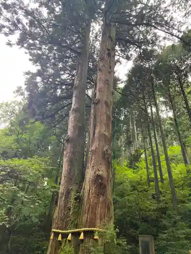 御岩神社の自然